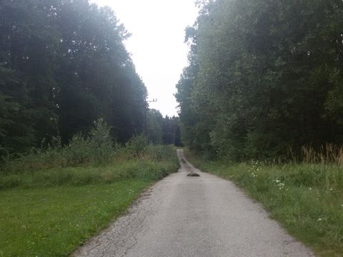 Foto 46